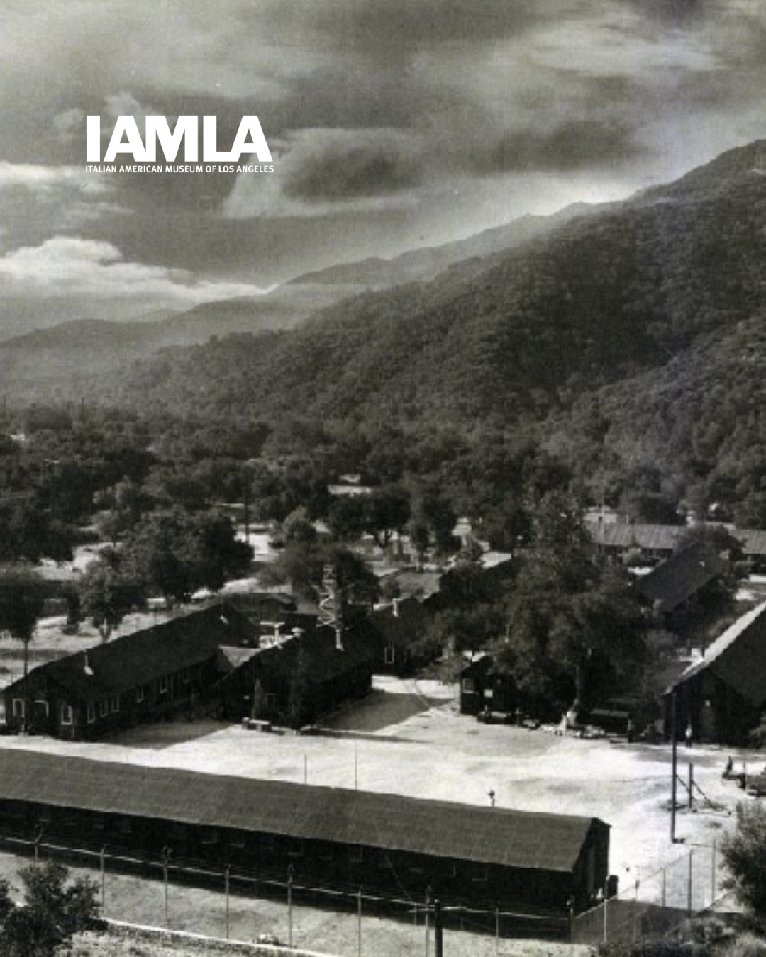 Board and governance practices